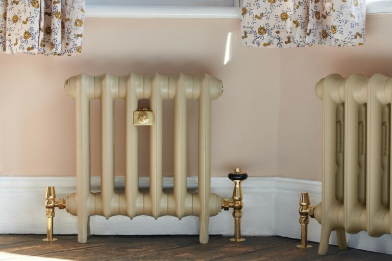 Emmeline cast iron radiator in Paint and Paper Library Truffle with Unlacquered Brass valves